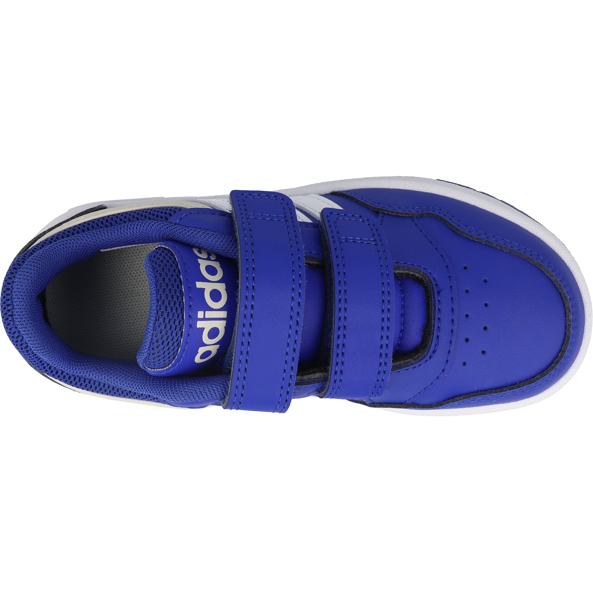 adidas Hoops 3.0 CF Royal Blue Trainers