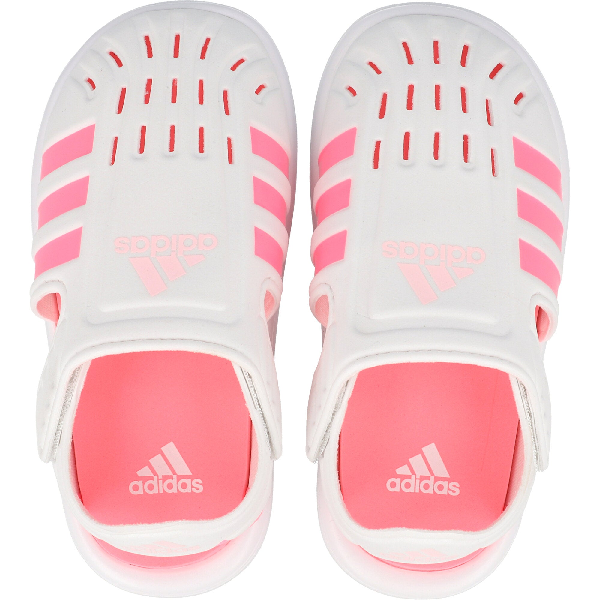 adidas Water Sandal Pink