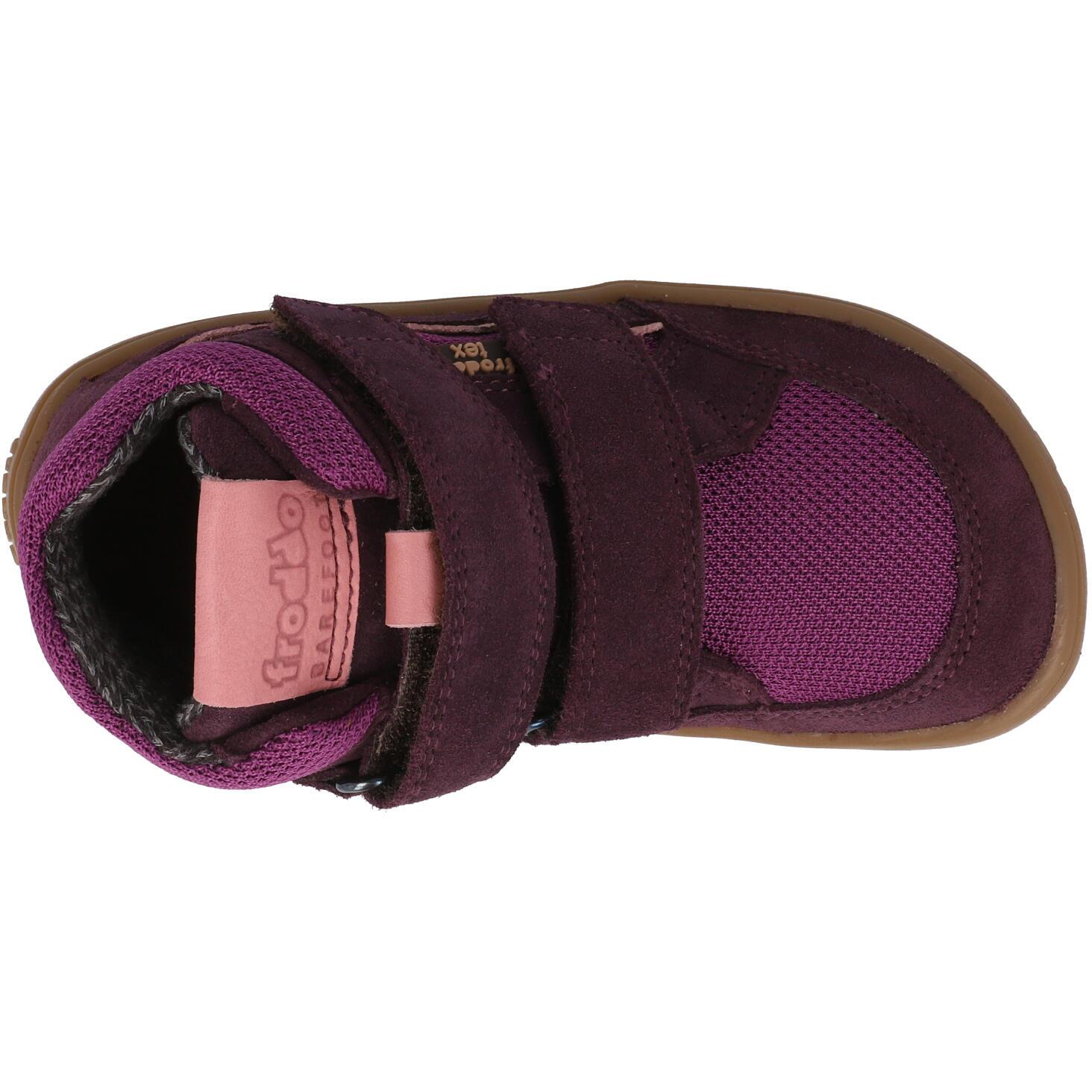 Froddo Barefoot Tex Autumn Purple G31102668